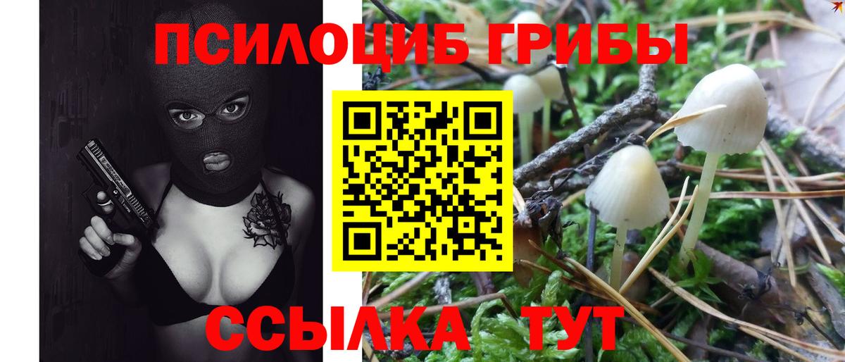 Галлюциногенные грибы мицелий  Псилоцибиновые грибы мухоморы  Вход с VPN  Майский 
